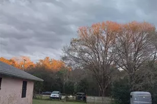 14016 N Hwy 301, Thonotosassa, FL 33592 - Photo 11