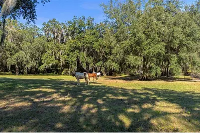 [Address not provided], Okahumpka, FL 34762 - Photo 73