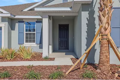 17441 Valleywood Parkway, Land O Lakes, FL 34638 - Photo 5