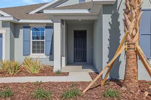 17441 Valleywood Pkwy, Land O Lakes, FL 34638 - Photo 5