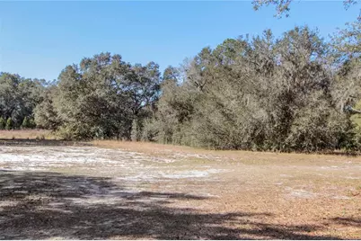 6892 Swain Road, Sorrento, FL 32776 - Photo 35