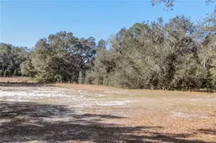 6892 Swain Rd, Sorrento, FL 32776 - Photo 35