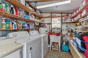 141 Parkland Dr, Eustis, FL 32726 - Photo 33