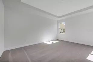 17374 Crisp Apple Ln, Land O Lakes, FL 34638 - Photo 19