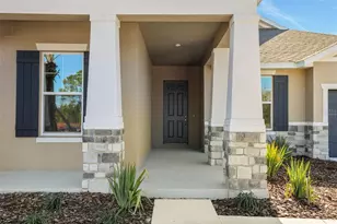 17374 Crisp Apple Ln, Land O Lakes, FL 34638 - Photo 5