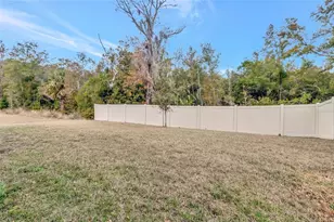 3984 Mayhill Loop, Eustis, FL 32736 - Photo 29