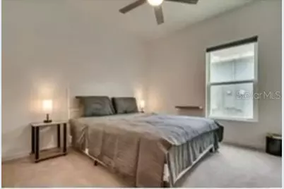 6952 Church Lake Street, Groveland, FL 34736 - Photo 9