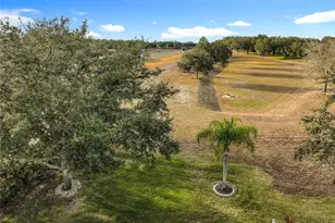 25003 Cypress Pond Ct, Leesburg, FL 34748 - Photo 49