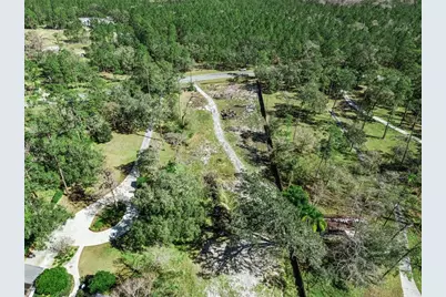 12518 S Lake Mary Jane Road, Orlando, FL 32832 - Photo 19