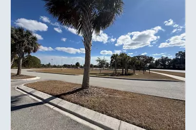 12518 S Lake Mary Jane Road, Orlando, FL 32832 - Photo 33