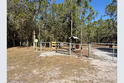 12518 S Lake Mary Jane Road, Orlando, FL 32832 - Photo 29