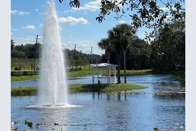 25517 Laurel Valley Road, Leesburg, FL 34748 - Photo 39