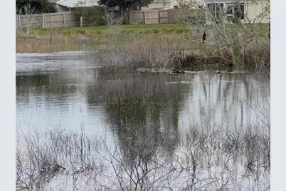 25517 Laurel Valley Road, Leesburg, FL 34748 - Photo 49