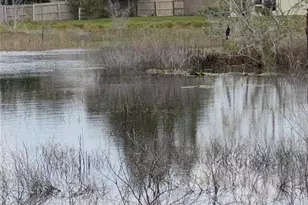 25517 Laurel Valley Rd, Leesburg, FL 34748 - Photo 49