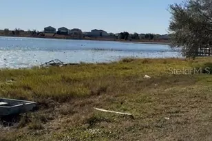 17134 Lake Ingram Rd, Winter Garden, FL 34787 - Photo 3