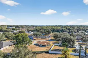 13523 Biscayne Dr, Grand Island, FL 32735 - Photo 29