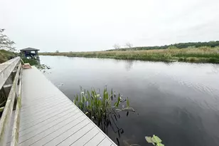 408 Grassy Key Way, Groveland, FL 34736 - Photo 37