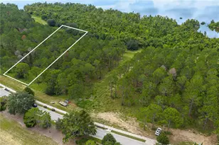 16802 Artimino Loop, Montverde, FL 34756 - Photo 1