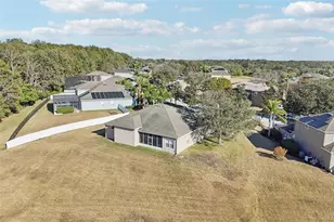 6114 Tremayne Dr, Mount Dora, FL 32757 - Photo 61