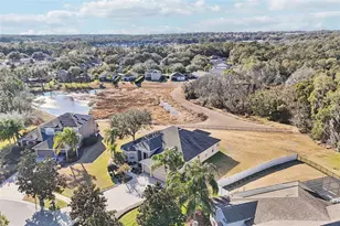 6114 Tremayne Dr, Mount Dora, FL 32757 - Photo 67
