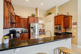 6114 Tremayne Dr, Mount Dora, FL 32757 - Photo 15