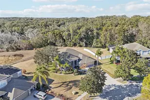 6114 Tremayne Dr, Mount Dora, FL 32757 - Photo 65