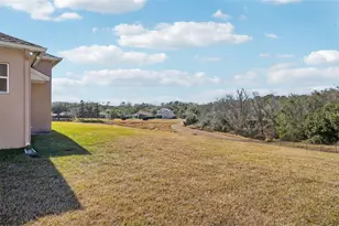 6114 Tremayne Dr, Mount Dora, FL 32757 - Photo 61