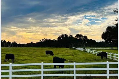 4805 SE 94th Avenue, Webster, FL 33597 - Photo 33
