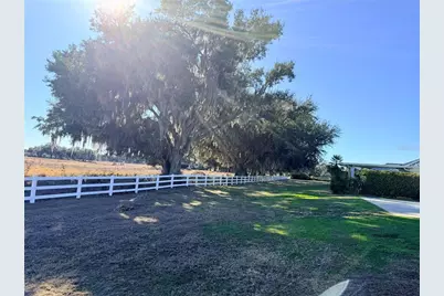 4805 SE 94th Avenue, Webster, FL 33597 - Photo 9