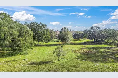 Tract 1 - Cr 221, Wildwood, FL 34785 - Photo 3