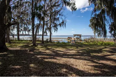 31035 Cove Road, Tavares, FL 32778 - Photo 3