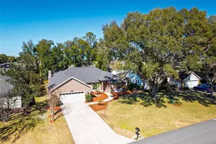 19337 Spring Oak Dr, Eustis, FL 32736 - Photo 89