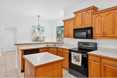 19337 Spring Oak Drive, Eustis, FL 32736 - Photo 29