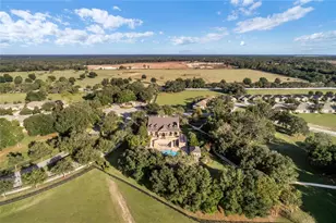 30337 Gidran Terrace, Mount Dora, FL 32757 - Photo 61