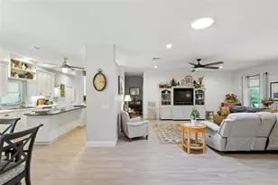 2238 Co Rd 243C, Wildwood, FL 34785 - Photo 11