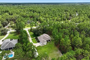 2238 Co Rd 243C, Wildwood, FL 34785 - Photo 3