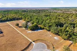 36841 Reserve Dr, Eustis, FL 32736 - Photo 59