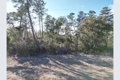 0000 SW 170th Loop, Ocala, FL 34473 - Photo 1