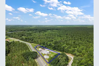 25031 County Road 42, Paisley, FL 32767 - Photo 3