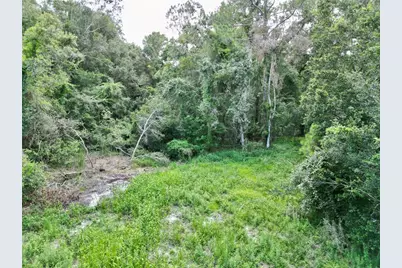 Tbd SW 31st Way Way, Webster, FL 33597 - Photo 9