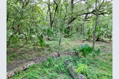 Tbd SW 31st Way Way, Webster, FL 33597 - Photo 11