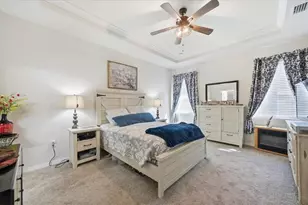 10591 Heron Hideaway Loop, Land O Lakes, FL 34638 - Photo 13