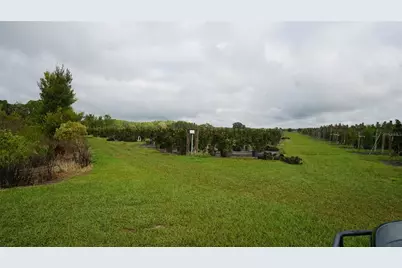 Douglas Road, Groveland, FL 34736 - Photo 11