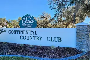 103 Lyonia Ln, Wildwood, FL 34785 - Photo 25