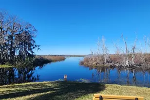 103 Lyonia Ln, Wildwood, FL 34785 - Photo 27