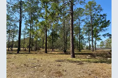 35135 Pinegate Trail, Eustis, FL 32736 - Photo 19