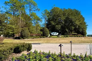 35135 Pinegate Trail, Eustis, FL 32736 - Photo 1