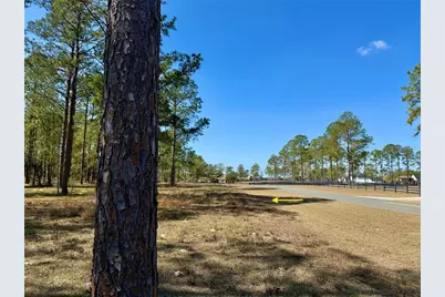 35135 Pinegate Trail, Eustis, FL 32736 - Photo 21