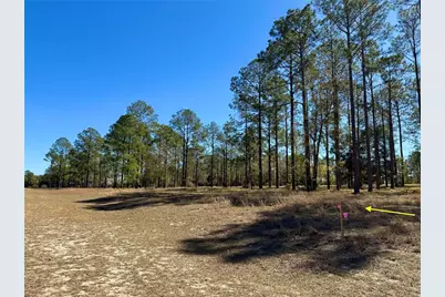 35135 Pinegate Trail, Eustis, FL 32736 - Photo 11