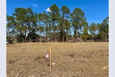 35135 Pinegate Trail, Eustis, FL 32736 - Photo 5